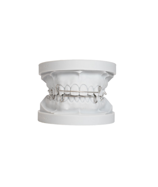 Hawley Orthodontic Retainer